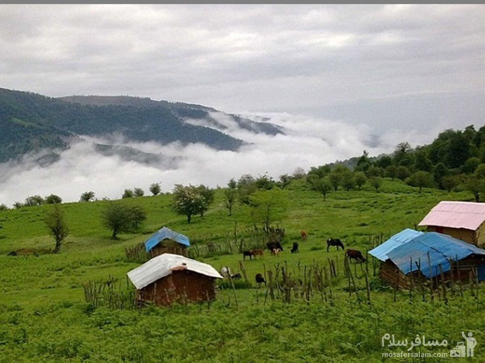 کوهستان
