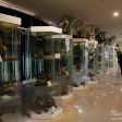 موزه ی تاریخی-طبیعی اردبیل