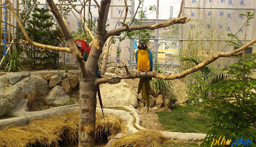 باغ پرندگان ایران