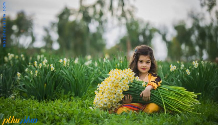 مشهورترین دشت های پر گل ایران